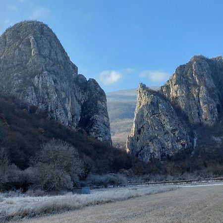Golemi Kamik Pirot Vlasi Esterno foto