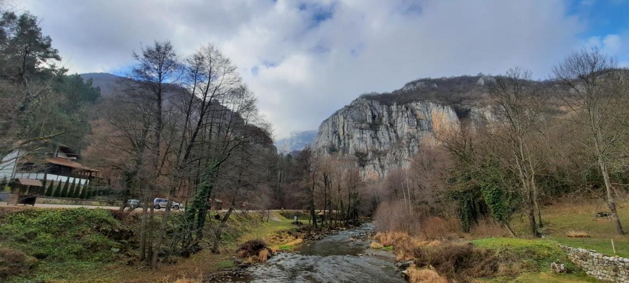 Golemi Kamik Pirot Vlasi Esterno foto