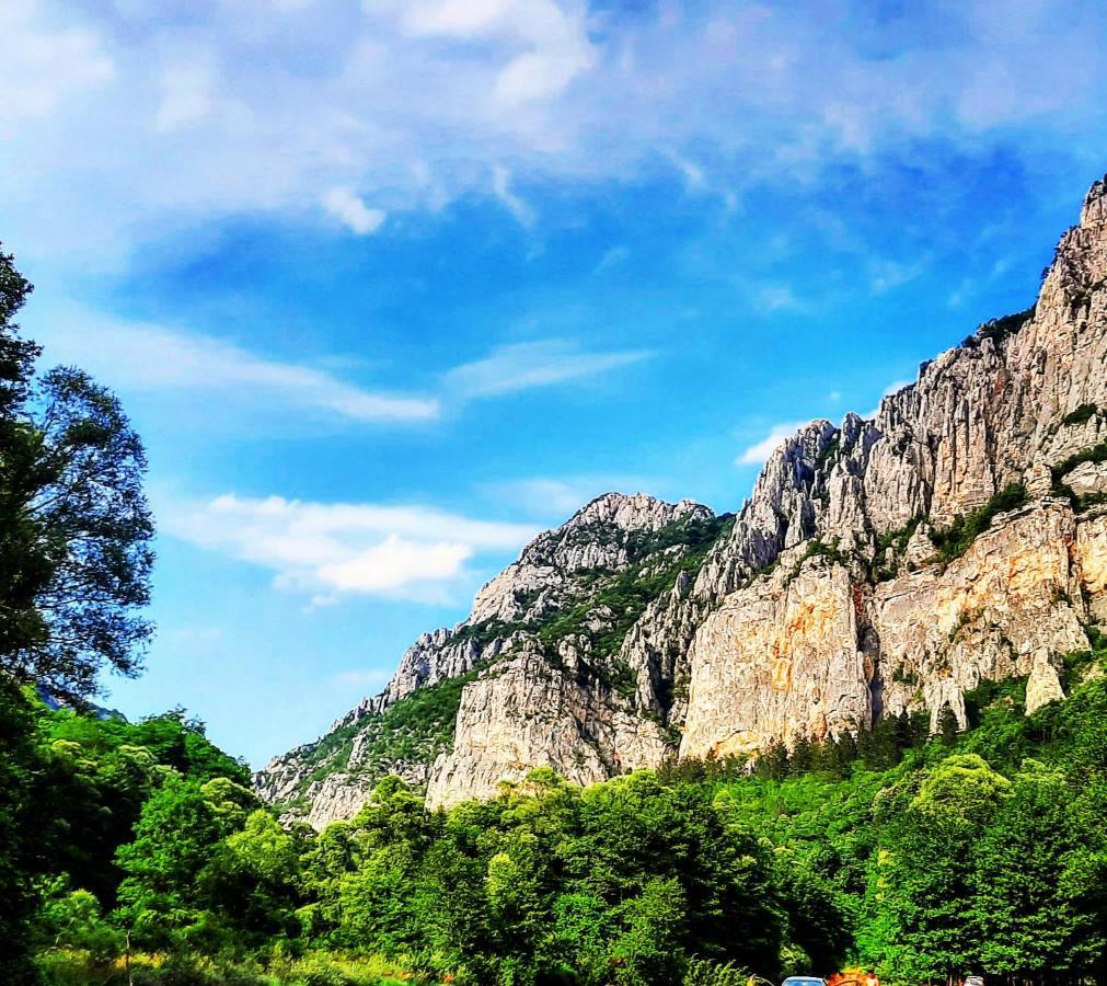 Golemi Kamik Pirot Vlasi Esterno foto