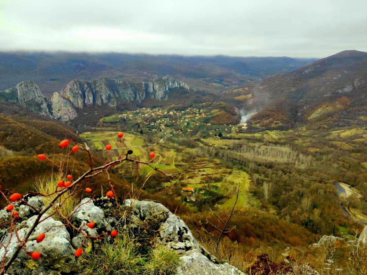 Golemi Kamik Pirot Vlasi Esterno foto