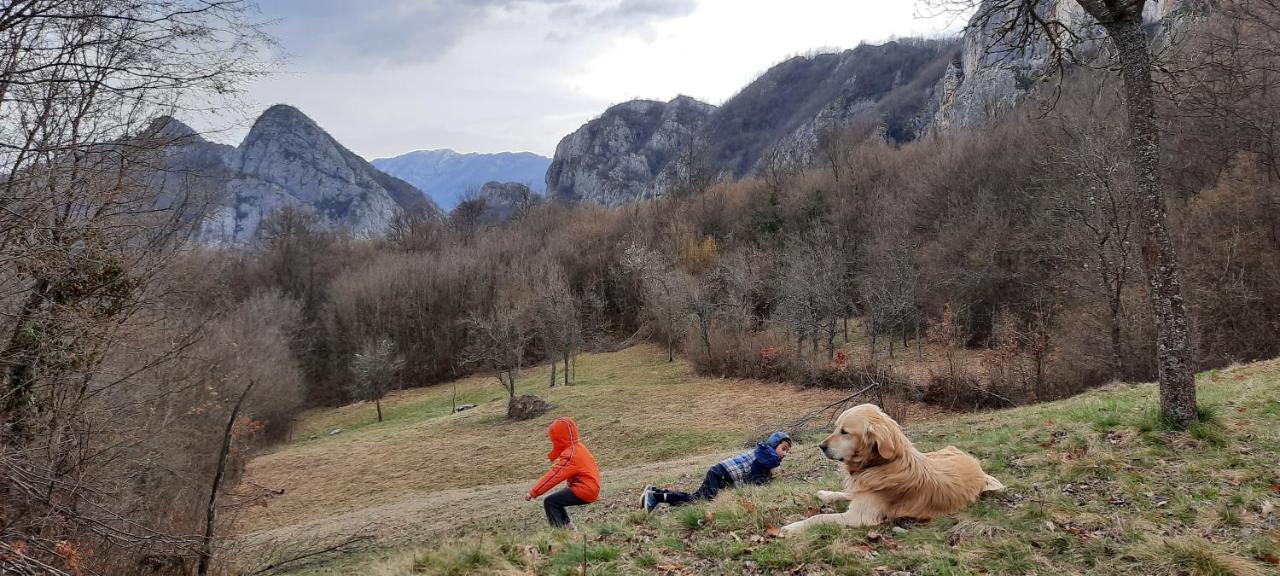 Golemi Kamik Pirot Vlasi Esterno foto