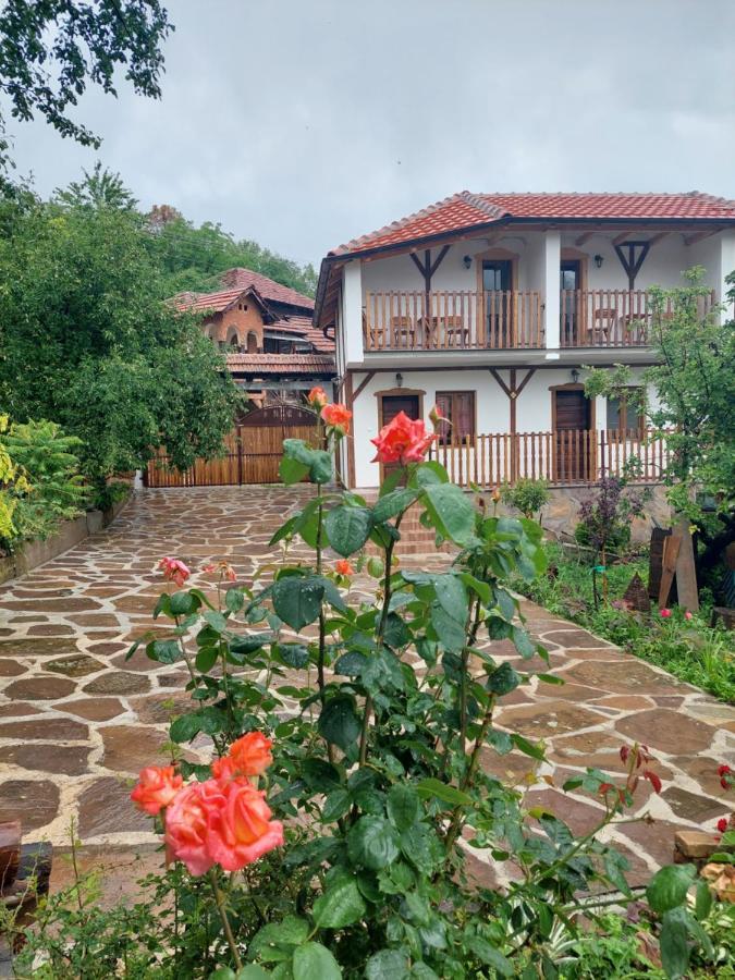 Golemi Kamik Pirot Vlasi Esterno foto