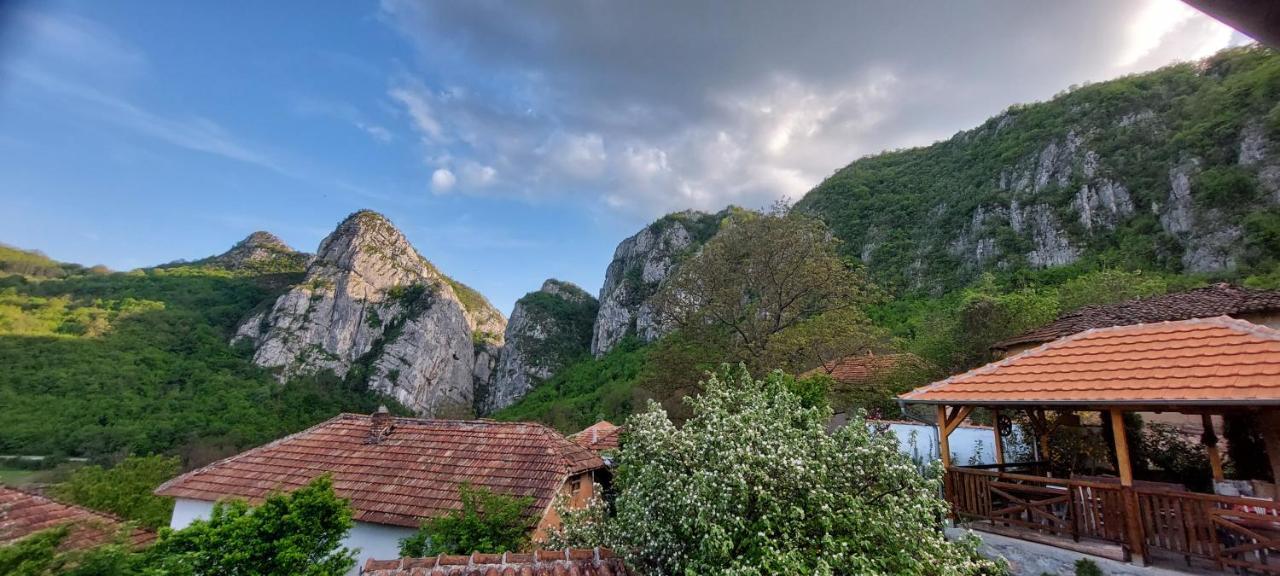 Golemi Kamik Pirot Vlasi Esterno foto
