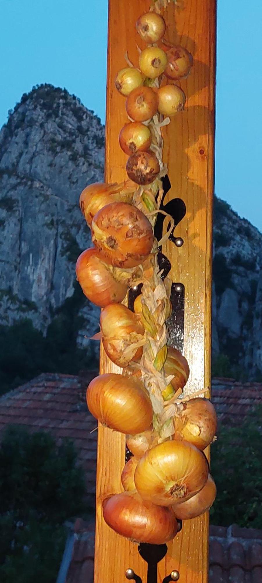 Golemi Kamik Pirot Vlasi Esterno foto